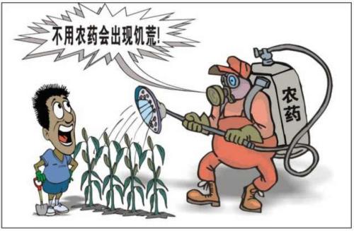 為什么蕹菜的農(nóng)殘含量高？