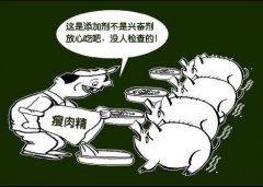 土雞蛋一天攝入多少合適？