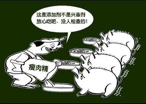 土雞蛋一天攝入多少合適？