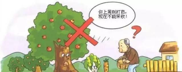  食品安全如何保證？