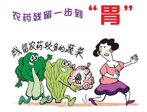 白菜農(nóng)殘你知道多少呢？
