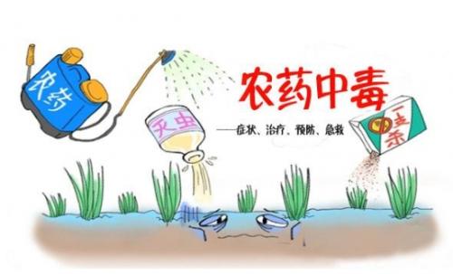 合適的蔬菜如何來選擇？